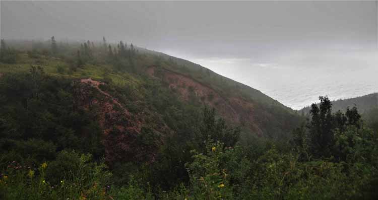 foggy mtns